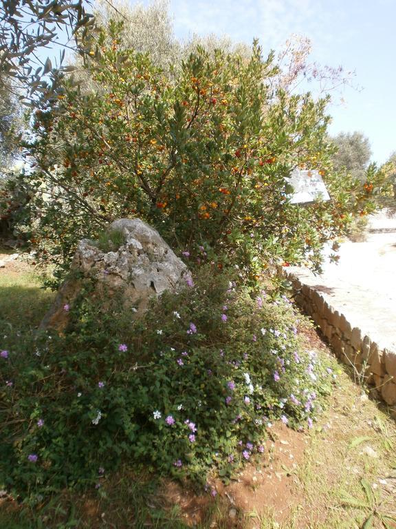 Trullo Villa Giuliana Con Giardino Posizione Panoramica Free Wifi Ostuni Ngoại thất bức ảnh