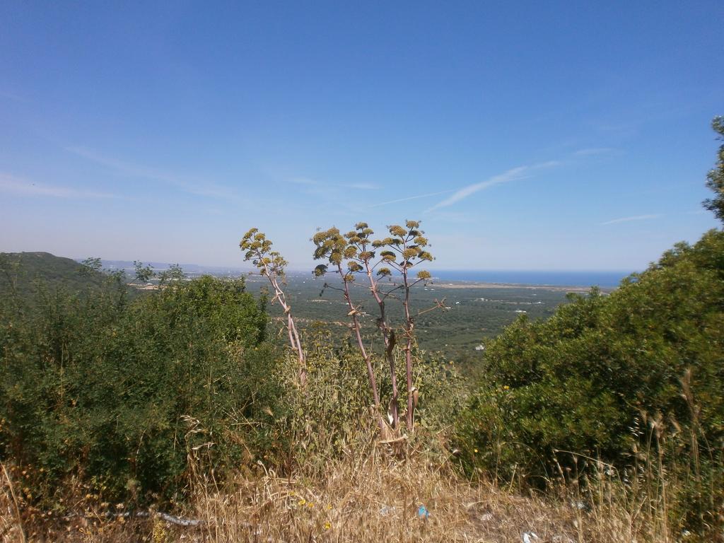 Trullo Villa Giuliana Con Giardino Posizione Panoramica Free Wifi Ostuni Phòng bức ảnh