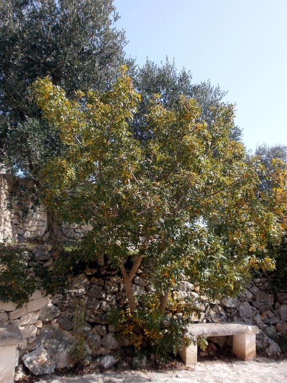 Trullo Villa Giuliana Con Giardino Posizione Panoramica Free Wifi Ostuni Phòng bức ảnh